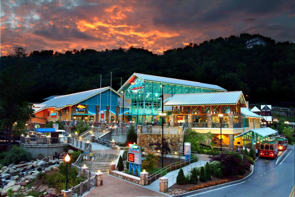 Ripley’s Aquarium HVAC and mechanical installation in Toronto, completed by H.E. Rieckelman.
